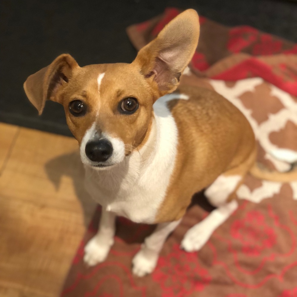 Meet your Posher, Ariella